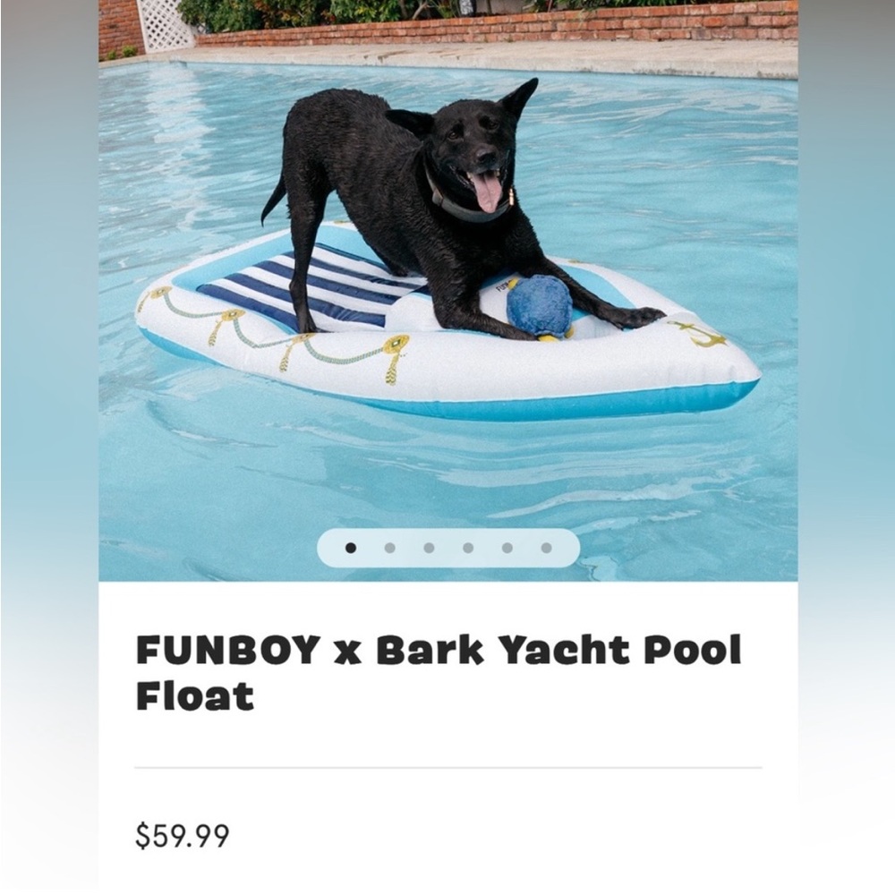 Funboy x BARK Pool Float - Picture 2 of 6